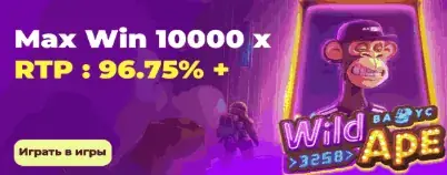 Слот Wild Ape в казино LuckyBear